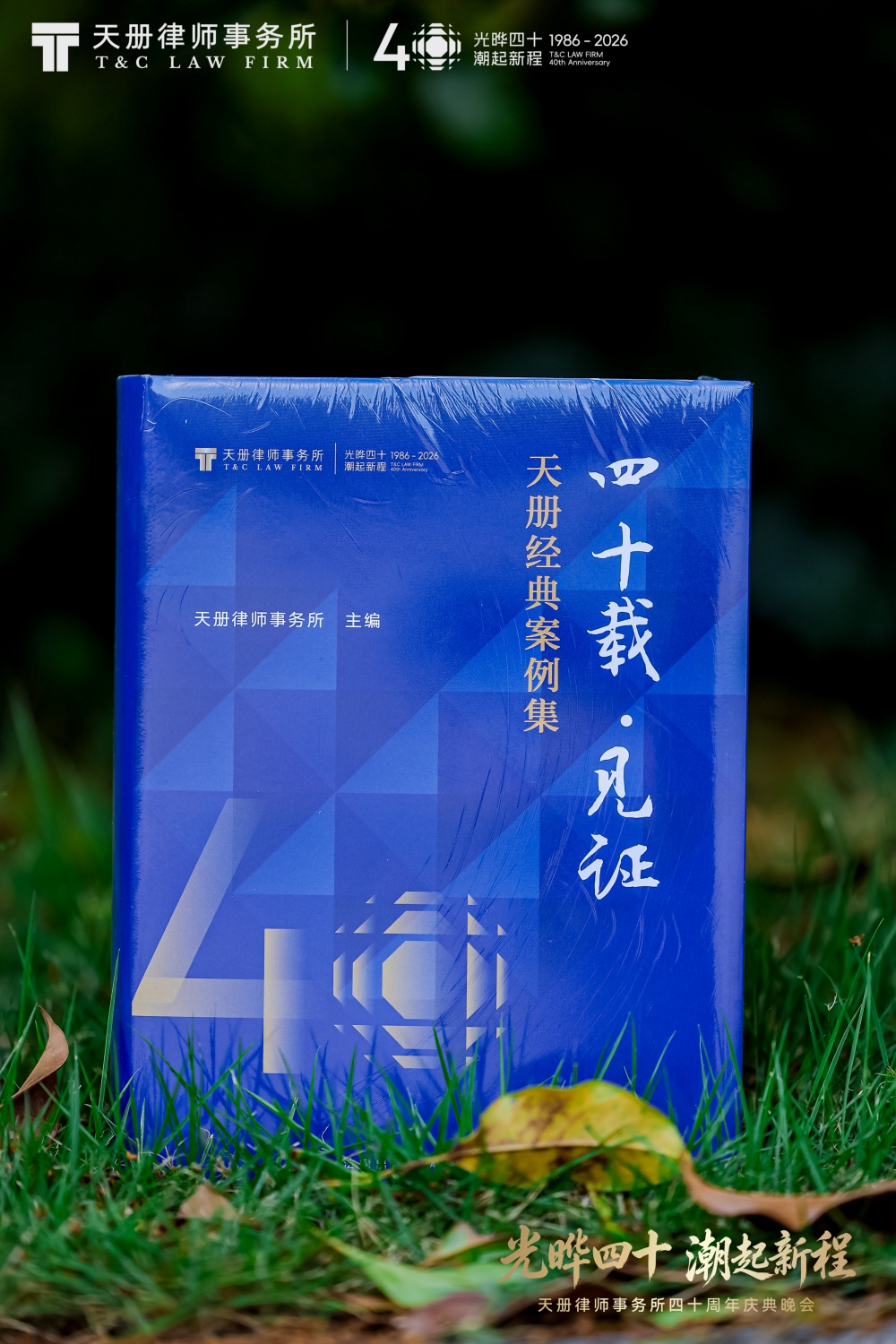 图十二_副本.jpg